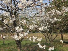-东南大学(九龙湖校区)
