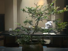 -元古本店(南锣鼓巷店)