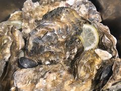-海食焗(新光天地店)