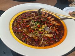 -三强鸽子(中原路店)