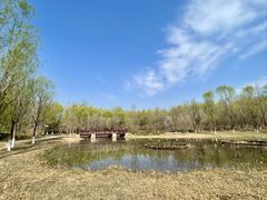-翠湖国家城市湿地公园