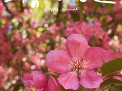 -海棠花溪(元大都城垣遗址公园)