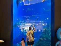 -成都浩海立方海洋公园