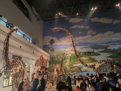 -自贡恐龙博物馆