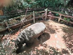 -长鹿旅游休博园