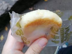 -南普陀素饼