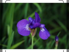 -苏州河梦清园环保主题公园