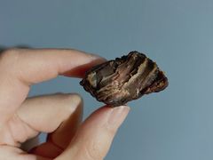 -都士牧人现烤牛肉干