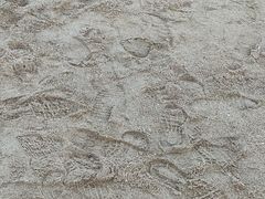 -白城沙滩