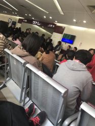 -中国福利会国际和平妇幼保健院(徐汇院区)