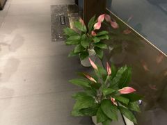 -百富源·海鲜辽菜(和平北大街店)