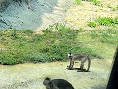 -杭州野生动物世界