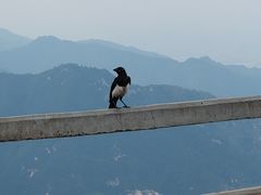 -终南山国家森林公园