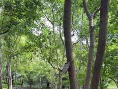 -普陀山风景名胜区-法雨禅寺