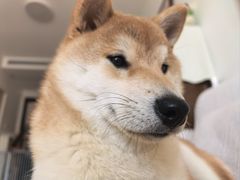 -美联众合24小时·皮肤科·外科·全科诊疗中心(华苑分院)