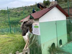 -世界恐龙谷景区