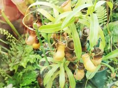 -国家植物园南园