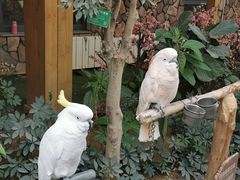 -南宫五洲植物乐园