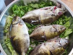 -丰尔粥食·粥底火锅(大良总店)