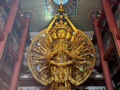 -上海东林寺(金山区)