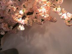 -樱花里音乐餐吧·牛扒椰子鸡(东圃店)