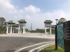 -王借岗森林公园