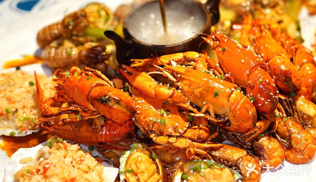 松哥第一铲回归啦😋小澳龙自由太爽了🦞