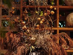 -自由生长植物工作室(深港花卉中心店)