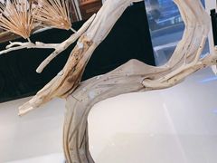 -KUNCHA鲲茶·江西制茶(铜锣湾店)