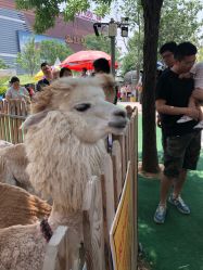 -萌宠亲子动物乐园(槐房万达店)