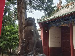 -关林