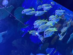 -多彩贵州城极地海洋世界