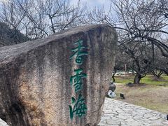 -香雪海