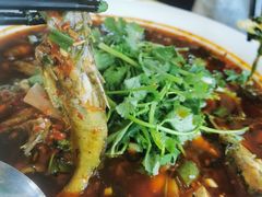 -胖大姐黄辣丁鱼庄(新津店)
