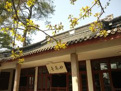 -溪口-滕头旅游景区