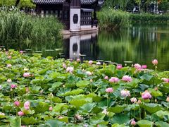 -莲湖公园