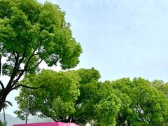 -温州乐园