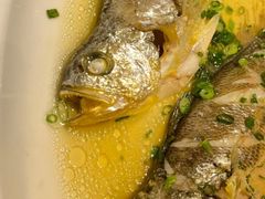 -宝轩渔府·老字号海鲜·正宗津菜(水上店)