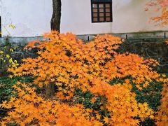 -狼山风景名胜区