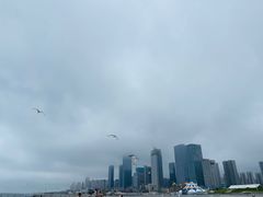 -东港音乐喷泉广场