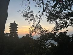 -缙云山景区