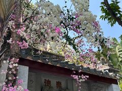 -深圳国际园林花卉博览园