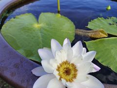 -南通洲际绿博园