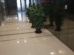 -招商银行(上海徐家汇支行)