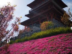 -古柏渡飞黄旅游区