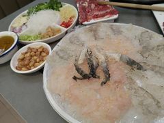 -官塘陈记鱼生·潮汕砂锅粥·牛肉火锅(潮枫路总店)