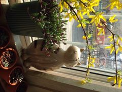 iphone_upload_pic-海边的猫和咖啡馆