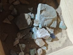 -房山世界地质公园博物馆