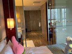 -常州环球恐龙城维景国际大酒店
