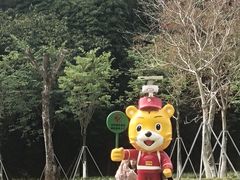 -大屏嶂森林公园